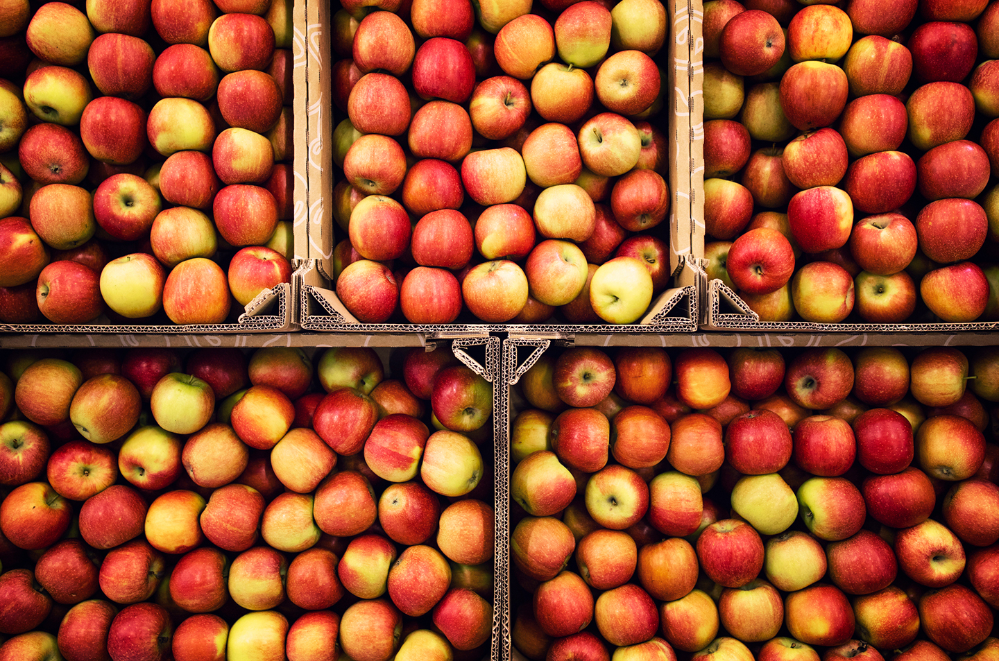 Dall’albero alle tavole di tutto il mondo. Quando la tecnologia conserva il buono della frutta